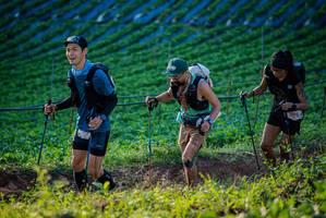 BIB: 
                            <button type="button" onclick="openModal(19160204)" class="btn btn-primary btn-sm float-right btn-popup" data-toggle="modal" data-target=".modal-high-quality">
                        <i class="fas fa-shopping-cart"></i> Add to Cart
                    </button>
                                            <button type="button" onclick="isThisMe(19160204, true)" class="btn btn-success btn-sm float-right btn-popup btn-isme hidden" data-toggle="tooltip" data-placement="bottom" title="นี่คือรูปของคุณใช่ไหม คลิกที่นี่เพื่อเอาเข้าอัลบั้ม">
                        <i class="fas fa-plus"></i> Add to album
                    </button>
                    <button type="button" onclick="isThisMe(19160204, false)" class="btn btn-warning btn-sm float-right btn-popup btn-isnotme hidden">
                        <i class="fas fa-ban"></i> Remove from album
                    </button>